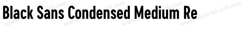 Black Sans Condensed Medium Regular字体转换